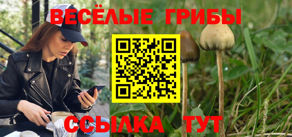 Псилоцибиновые грибы Cubensis  Галлюциногенные грибы MAGIC MUSHROOMS  Вход с VPN  Усть-Илимск 