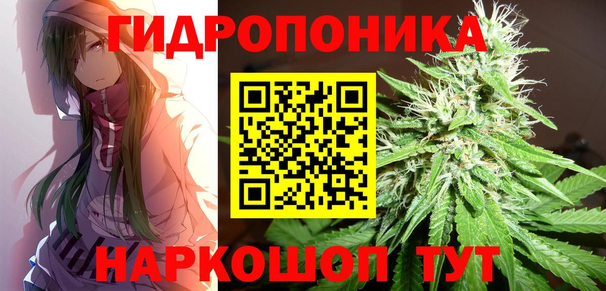 Бошки Шишки конопля Усть-Илимск